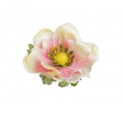 Květ Anemon 4ks, růžovo-krémový