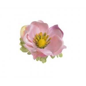 Květ Anemon 4ks, růžový s fialovou