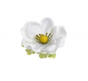 Květ Anemon 4ks, bílý