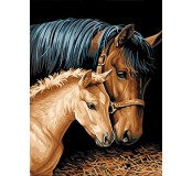 Malování podle čísel na plátno 30x40cm - koně