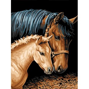 Malování podle čísel na plátno 30x40cm - koně