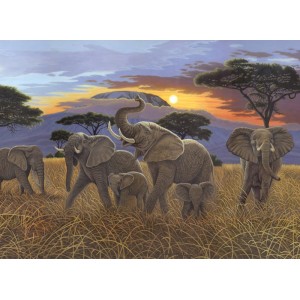 Malování podle čísel 30x40cm - západ slunce nad Kilimanžárem