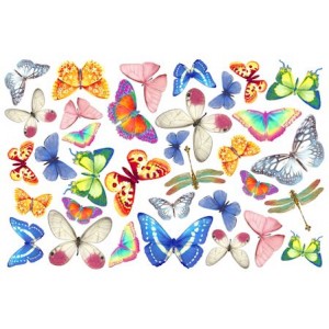 Moosgummi - pěnovka motýli 20 x 30 cm
