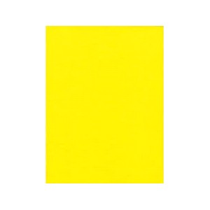 Filc 30 x 20 cm, tl. 1 mm - žlutá