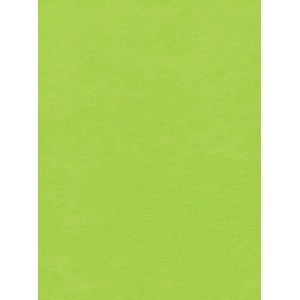 Filc 30,5 x 22,9 cm, tl. 1 mm - neonová zelená