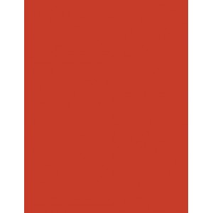 Filc 30,5 x 22,9 cm, tl. 1 mm - korálová červená